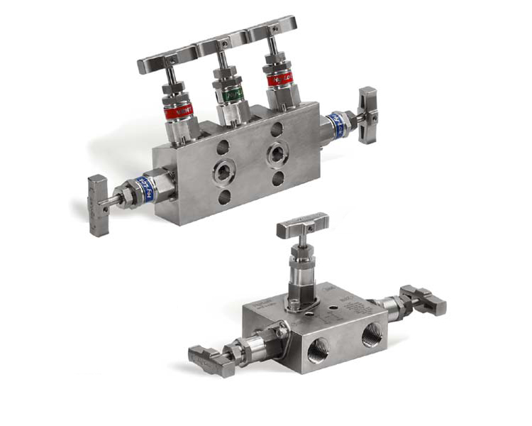 M Series - Instrument Manifolds (Manifolds Valves)